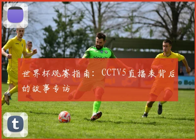 世界杯观赛指南：CCTV5直播表背后的故事专访