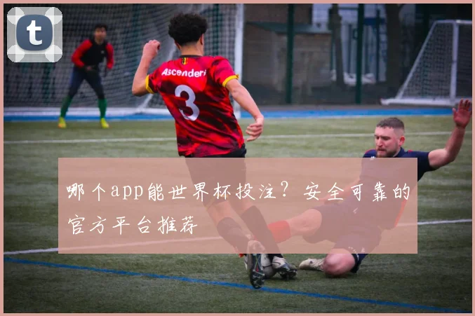 哪个app能世界杯投注？安全可靠的官方平台推荐