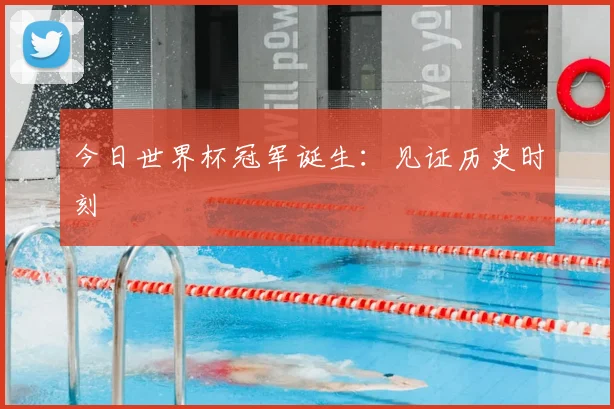 今日世界杯冠军诞生:见证历史时刻
