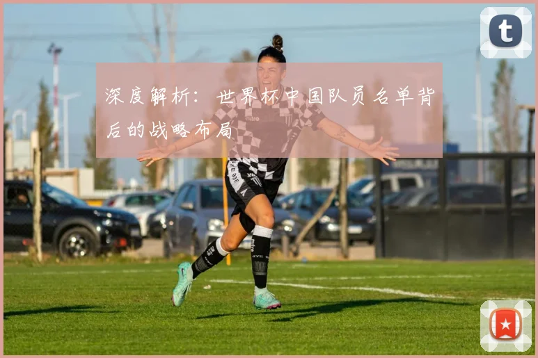 深度解析:世界杯中国队员名单背后的战略布局