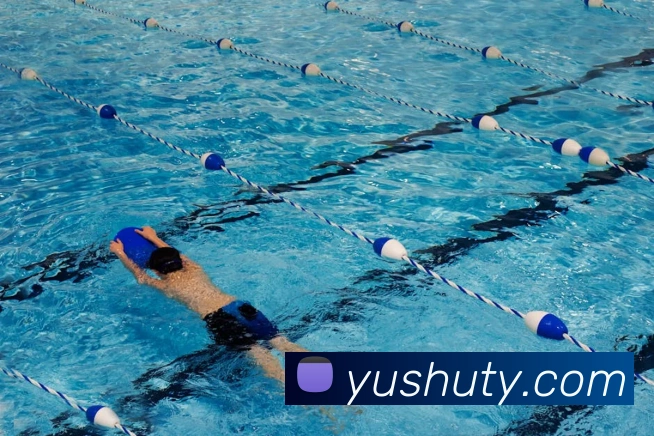 乐鱼官网app登录入口平台生态图