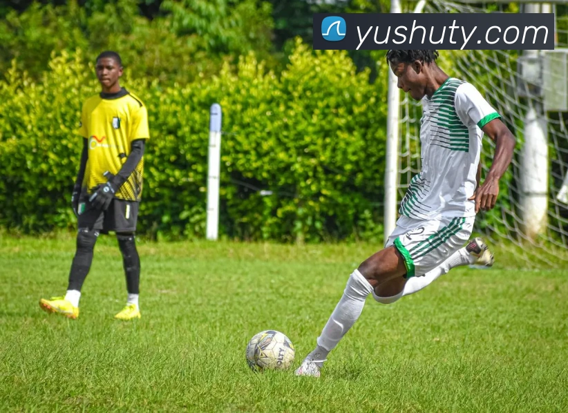 乐鱼官网app登录入口APP 封面图